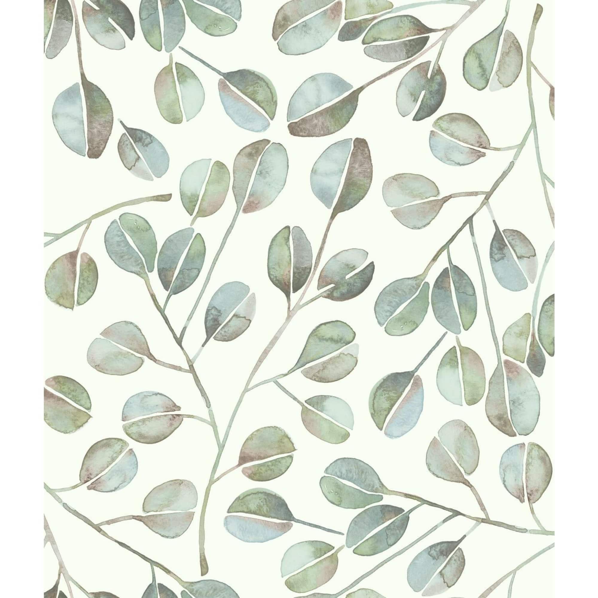 RoomMates Cat Coquillette Eucalyptus Peel & Stick Wallpaper